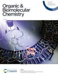 カバーピクチャー 科学イラスト 論文表紙絵 アートアクション 北陸先端科学技術大学院大学