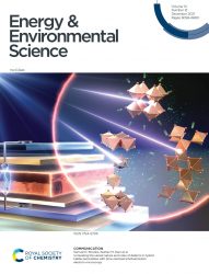 カバーピクチャー 科学イラスト 論文表紙絵 アートアクション 沖縄科学技術大学院大学