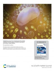 カバーピクチャー 科学イラスト 論文表紙絵 アートアクション 東北大学