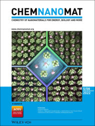 カバーピクチャー 科学イラスト 論文表紙絵 アートアクション 東京大学 内田さやか先生