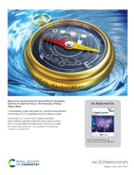 カバーピクチャー 科学イラスト 論文表紙絵 アートアクション 東京大学 南豪先生 佐々木由比先生 南研究室