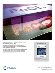 カバーピクチャー 科学イラスト 論文表紙絵 アートアクション 日本大学 神奈川大学