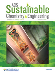 カバーピクチャー 科学イラスト 論文表紙絵 アートアクション 東北大学