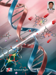 カバーピクチャー 科学イラスト 論文表紙絵 アートアクション 同志社大学 小寺政人先生 畑真知様 BCSJ