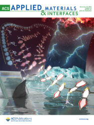 カバーピクチャー 科学イラスト 論文 表紙絵 アートアクション 広島大学 ACS Applied Materials & Interfaces