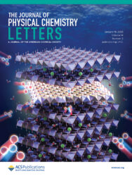 ACS カバーピクチャー 科学イラスト 論文表紙絵 アートアクション The Journal of Physical Chemistry Letters 東京大学 簾先生 cover picture