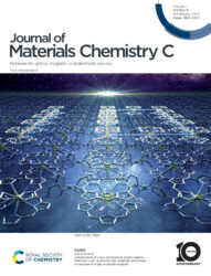 カバーピクチャー 科学イラスト 論文表紙絵 アートアクション 奈良女子大学