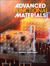 Wiley Advanced Functional Materials カバーピクチャー 科学イラスト 論文表紙絵 アートアクション 北海道大学 cover picture