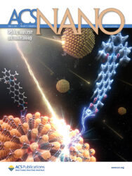 ACS NANO カバーピクチャー 科学イラスト 論文表紙絵 アートアクション 立命館大学 cover picture