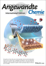 Wiley Angewandte カバーピクチャー 科学イラスト 制作 論文 表紙絵 アートアクション 山梨大学 cover picture