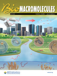 ACS カバーピクチャー 科学イラスト 論文表紙絵 アートアクション 理化学研究所 cover picture