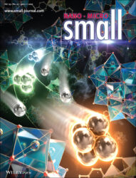 Wiley small カバーピクチャー 科学イラスト 制作 論文 表紙絵 アートアクション 東京大学 内田さやか先生 cover picture