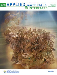 ACS カバーピクチャー 科学イラスト 論文表紙絵 アートアクション 信州大学 cover picture