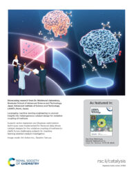 RSC カバーピクチャー cover picture 科学イラスト 論文表紙絵 アートアクション 北陸先端科学技術大学院大学 Science Art