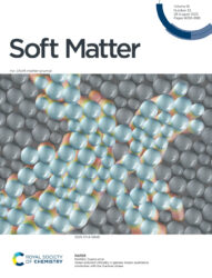 Soft Matter カバーピクチャー 科学イラスト 論文表紙絵 アートアクション cover picture 東京大学