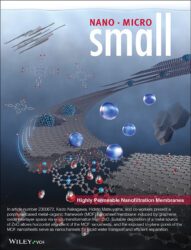 small カバーピクチャー Wikey 科学イラスト 論文表紙絵 アートアクション 神戸大学 cover picture