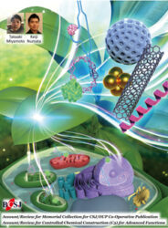 Bulletin of the Chemical Society of Japan カバーピクチャー 科学イラスト 論文表紙絵 アートアクション 理化学研究所 cover picture