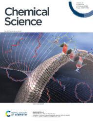 カバーピクチャー RSC 科学イラスト 論文表紙絵 アートアクション 国立医薬品食品衛生研究所 出水庸介様 cover picture