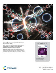 カバーピクチャー RSC 科学イラスト 論文表紙絵 アートアクション 理化学研究所 cover picture