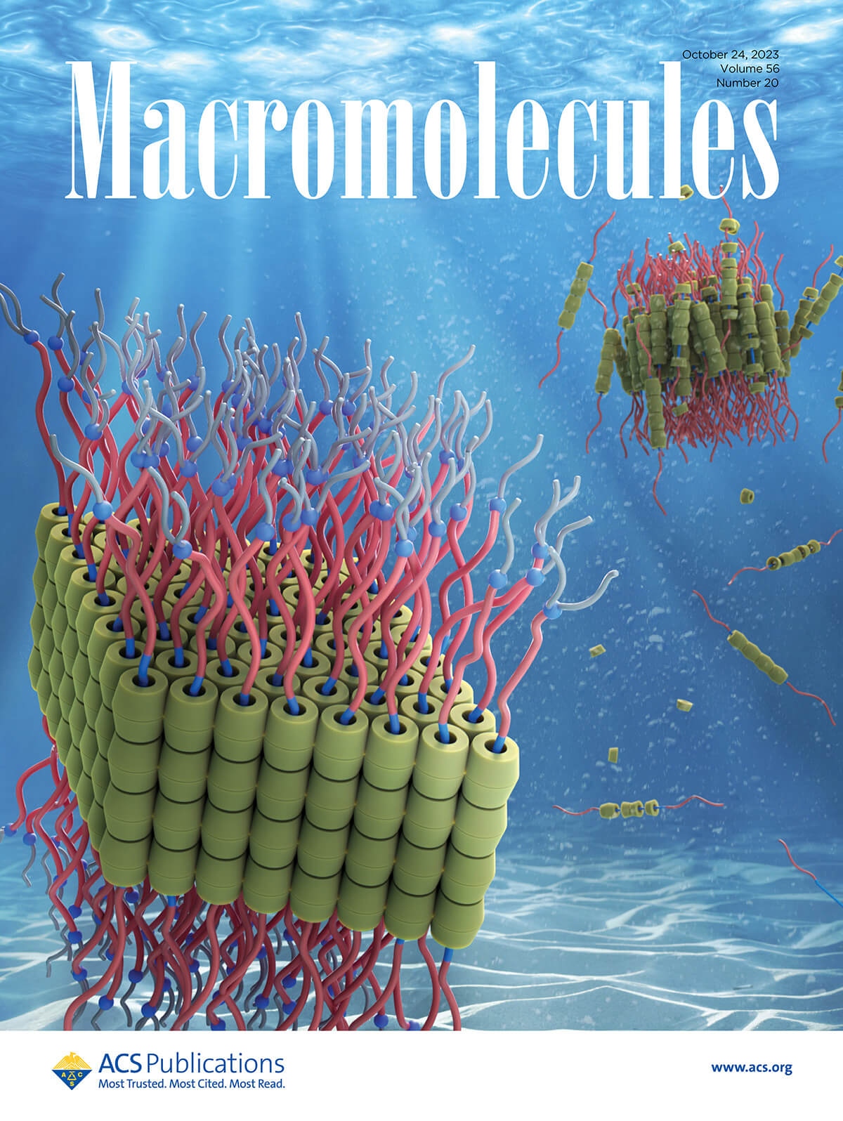Macromolecules カバーピクチャー ACS 科学イラスト 論文表紙絵 アートアクション 東京大学 cover picture