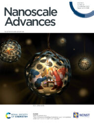 カバーピクチャー RSC 科学イラスト 論文表紙絵 アートアクション 東邦大学 cover picture