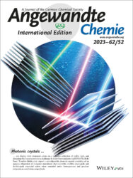 Wiley Angewandte カバーピクチャー 科学イラスト 制作 論文 表紙絵 アートアクション 信州大学 cover picture