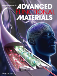 Wiley Advanced Functional Materialsカバーピクチャー 科学イラスト 制作 論文 表紙絵 アートアクション 東北大学 cover picture