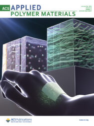 宇都宮大学 ACS カバーピクチャー 科学イラスト 論文表紙絵 アートアクション cover picture