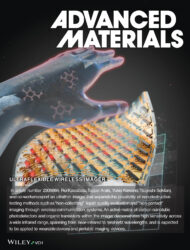 カバーピクチャー 科学イラスト 論文表紙絵 アートアクション cover picture