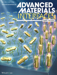 カバーピクチャー 科学イラスト 論文表紙絵 アートアクション cover picture