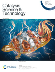 カバーピクチャー 科学イラスト 論文表紙絵 アートアクション cover picture