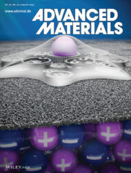 物質・材料研究機構 Advanced-Materials カバーピクチャー 科学イラスト 論文表紙絵 アートアクション cover picture