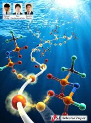 Bulletin of the Chemical Society of Japan カバーピクチャー 科学イラスト 論文表紙絵 アートアクション cover picture