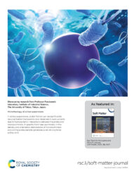 Soft Matter 東京大学 カバーピクチャー 科学イラスト 論文表紙絵 アートアクション cover picture