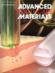 Wiley 東北大学 カバーピクチャー 科学イラスト 論文表紙絵 アートアクション cover picture