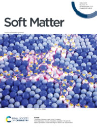 カバーピクチャー 科学イラスト 論文表紙絵 アートアクション cover picture