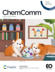 カバーピクチャー 科学イラスト 論文表紙絵 アートアクション cover picture