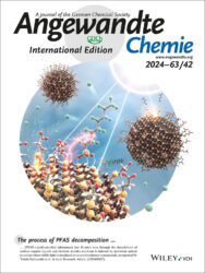 カバーピクチャー 科学イラスト 論文表紙絵 アートアクション cover picture 立命館大学