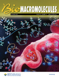 ACS Biomacromolecules 東京科学大学 カバーピクチャー 科学イラスト 論文表紙絵 アートアクション cover picture