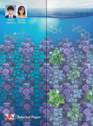 東京大学 Bulletin of the Chemical Society of Japan カバーピクチャー 科学イラスト 論文表紙絵 アートアクション cover picture