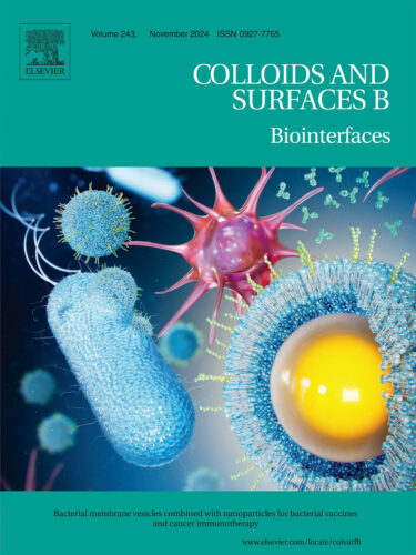 Elsevier Colloids-and-Surfaces 熊本大学 科学イラスト 論文表紙絵 アートアクション cover picture