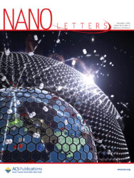 Nano Letters 熊本大学 カバーピクチャー 科学イラスト 論文表紙絵 アートアクション cover picture ACS