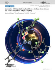 Angewandte Chemie International Edition 日本女子大学 カバーピクチャー 科学イラスト 論文表紙絵 アートアクション cover picture