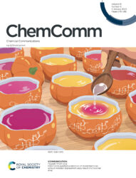 東京大学 南豪先生 佐々木由比先生 南研究室Chemical Communicationsカバーピクチャー 科学イラスト 論文表紙絵 アートアクション cover picture RSC