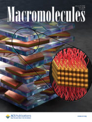 東京大学 Macromolecules 東京大学 カバーピクチャー 科学イラスト 論文表紙絵 アートアクション cover picture