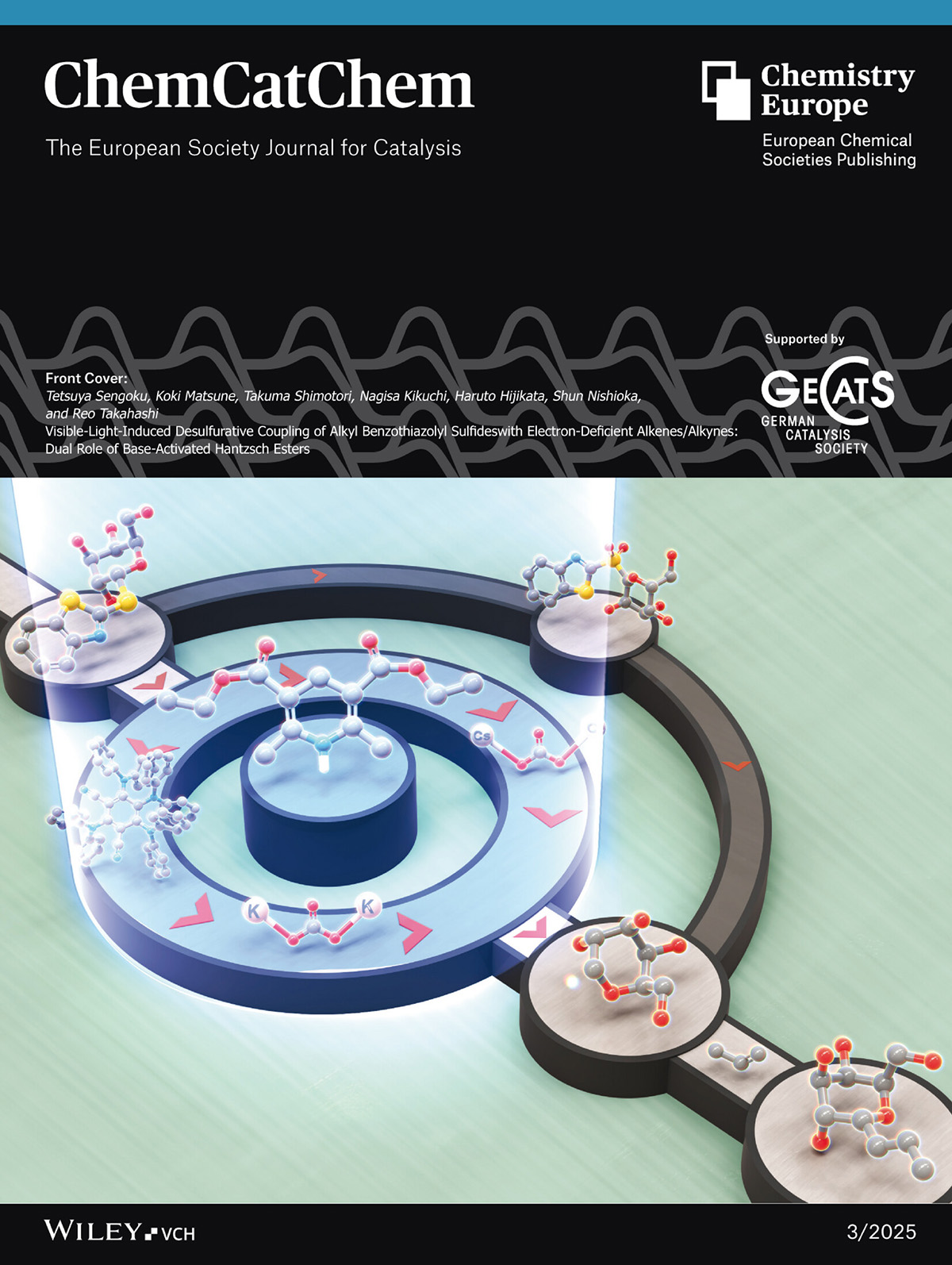 静岡大学 ChemCatChem 静岡大学 カバーピクチャー 科学イラスト 論文表紙絵 アートアクション cover picture