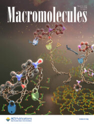 東京理科大学 Macromolecules ACS カバーピクチャー 科学イラスト 論文表紙絵 アートアクション cover picture