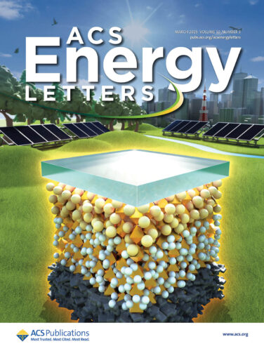 ACS Energy Letters 筑波大学 カバーピクチャー 科学イラスト 論文表紙絵 アートアクション cover picture