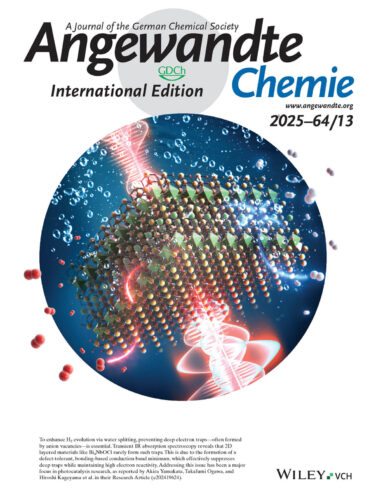 岡山大学 Angewandte Chemie International Edition カバーピクチャー 科学イラスト 論文表紙絵 アートアクション cover picture