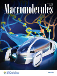 ACS 東京大学 Macromolecules カバーピクチャー 科学イラスト 論文表紙絵 アートアクション cover picture
